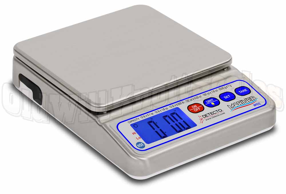 Bariatric Scales - Detecto Scales - Medical Scales
