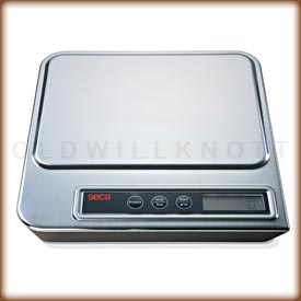 Seca 856 - Beautiful Stainless Steel Scale