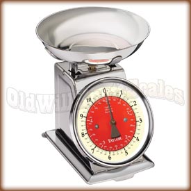 Taylor - 3710-21 - Stainless Steel Mechanical Scale