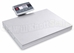 Ohaus Courier i-C52M100L - Low Profile Scale with Stainless Steel Platform